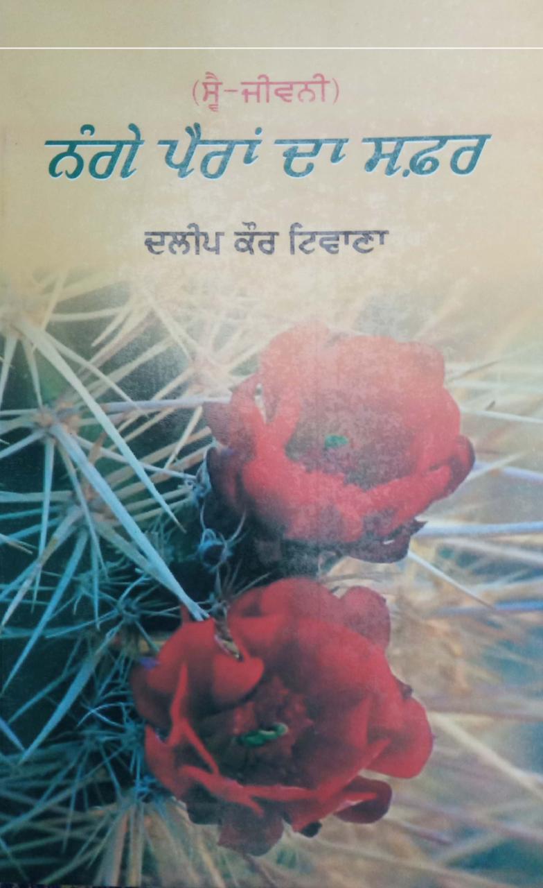 Nange Pairan Da Safar
